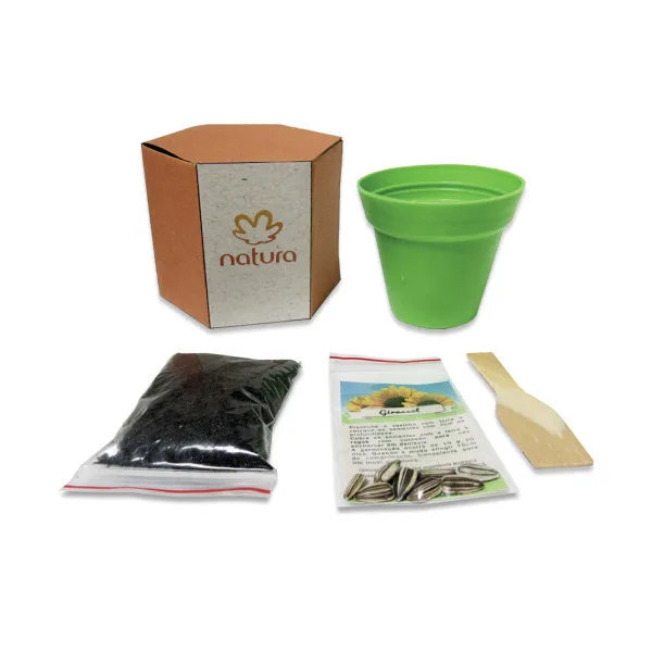 Kit Cultivo semente Personalizado Kit Cultivo semente Personalizado