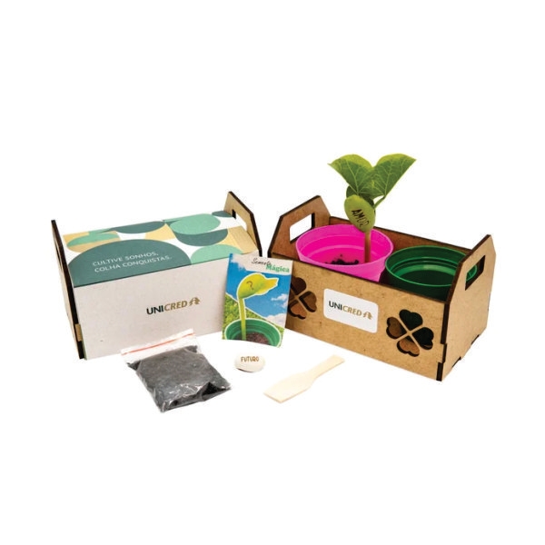 Kit Plantio Horta Personalizado Kit Plantio Horta Personalizado