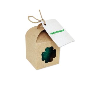 Kit Semente Mágica Personalizado