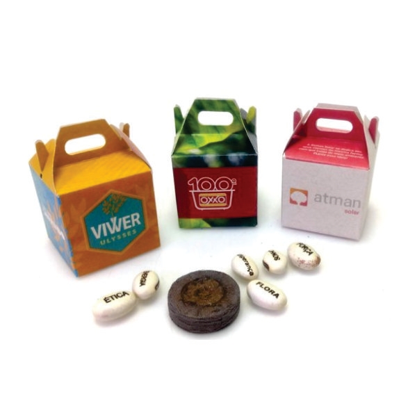 Kit Semente Mágica Mini Alça