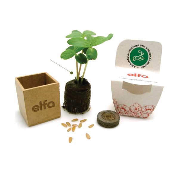 Kit Cultivo Plantio Personalizado